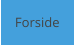 Forside